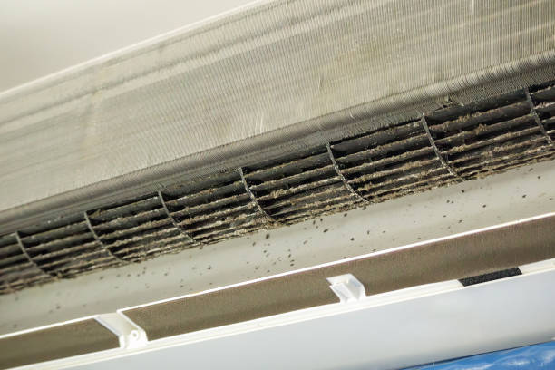 Best Air Duct Cleaning Near Me  in Nebo, NC